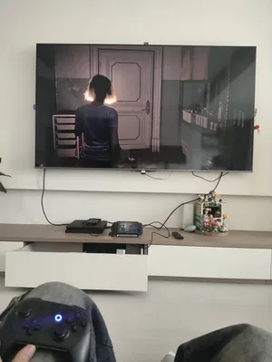 一个人的独居生活