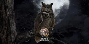 BEAST 游戏封面图 1