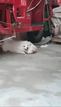 游核