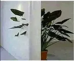 游核