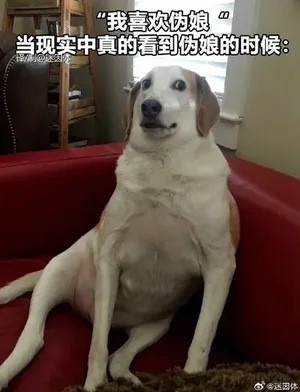 游核