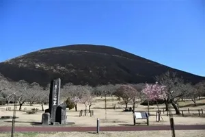 游核