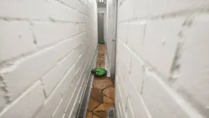 游核