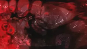 《暗黑破坏神4:憎恨之王》官方发售预告片截图,画面中一名身着暗色铠甲的战士高举燃烧长剑,背景为崩裂的红色天穹与巨型恶魔剪影,右下角显示标题Logo及发售日期'April 28, 2026'