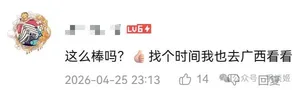 游核
