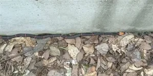 游核