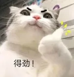 游核