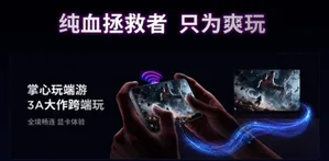 游核