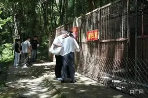 游核