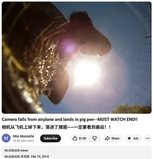 感觉很久没有听过GoPro的消息了,它不会快没了吧?