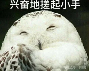 游核