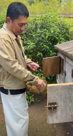 游核