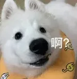 游核