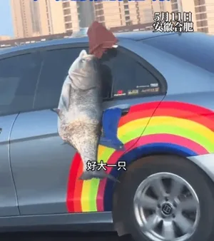 游核