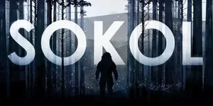 SOKOL 游戏封面图 1