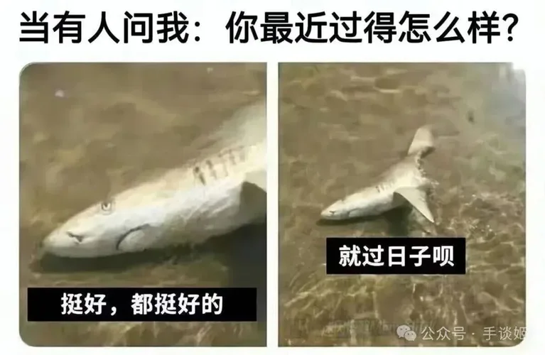 游核