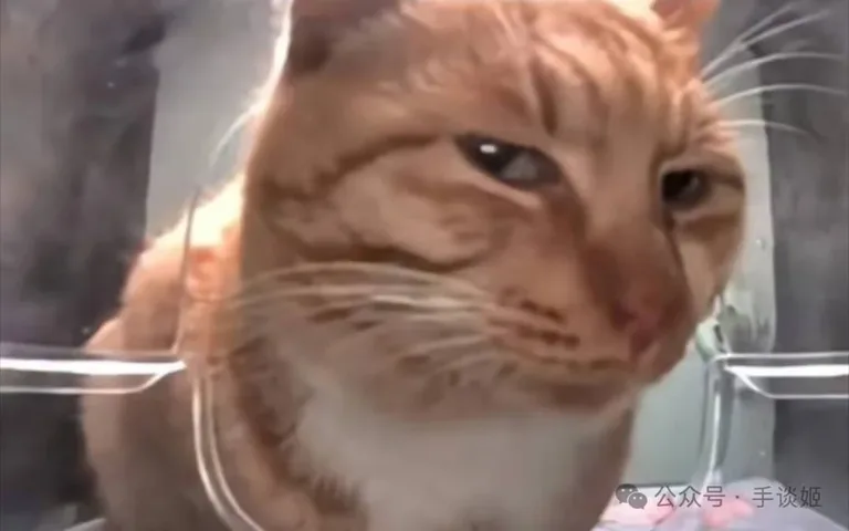 游核