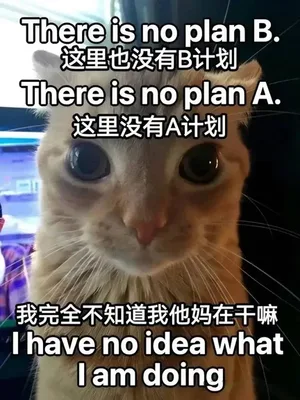 做出好游戏,就可以得到3亿日元?