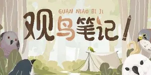 观鸟笔记 游戏封面图 1
