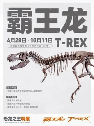 国家博物馆的霸王龙展，出现了奇怪的东西