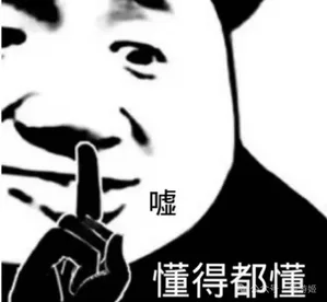 印度GTA?说真的我有点期待……