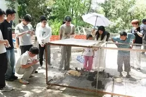 游核