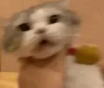 游核