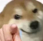 游核