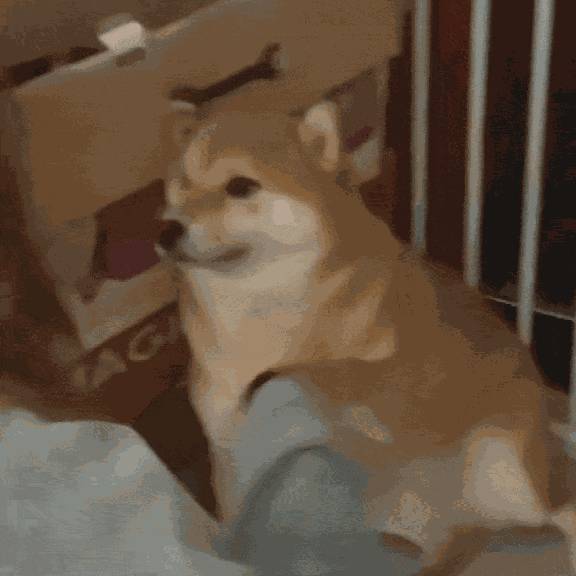 游核