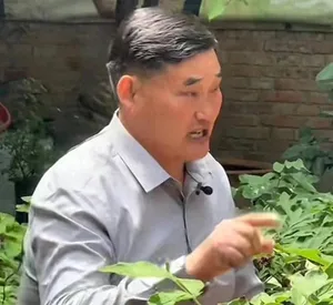 游核