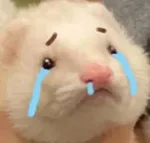 游核