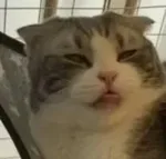 游核