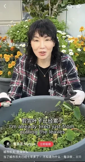 游核