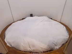 游核