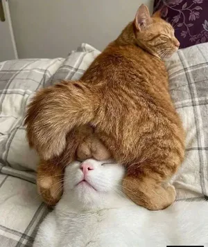 游核
