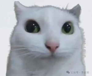 游核
