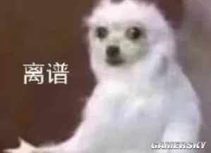 游核
