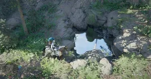游核