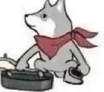 游核