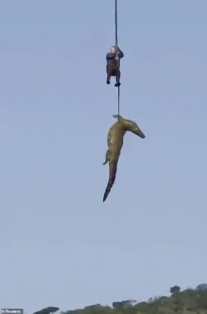 游核