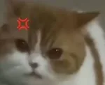 游核