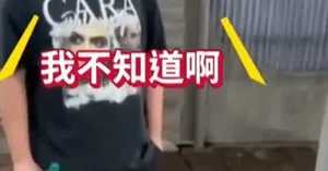 游核