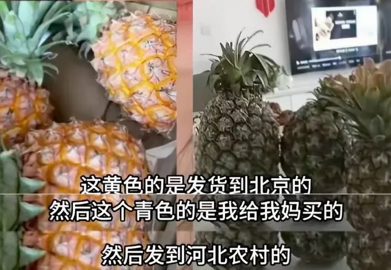 游核
