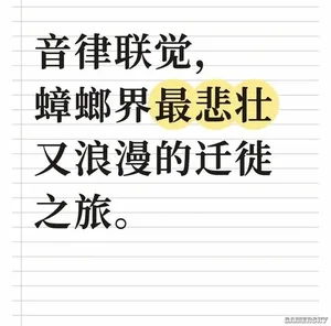 游核
