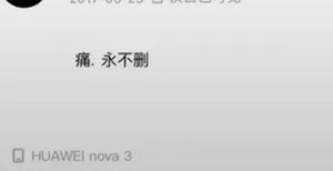 游核