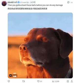 游核