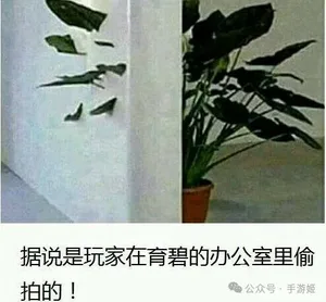游核