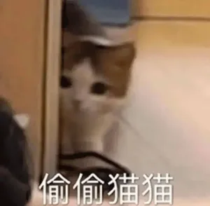 游核