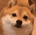 游核