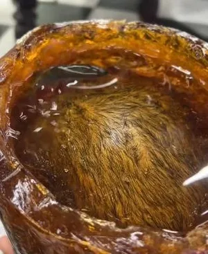游核